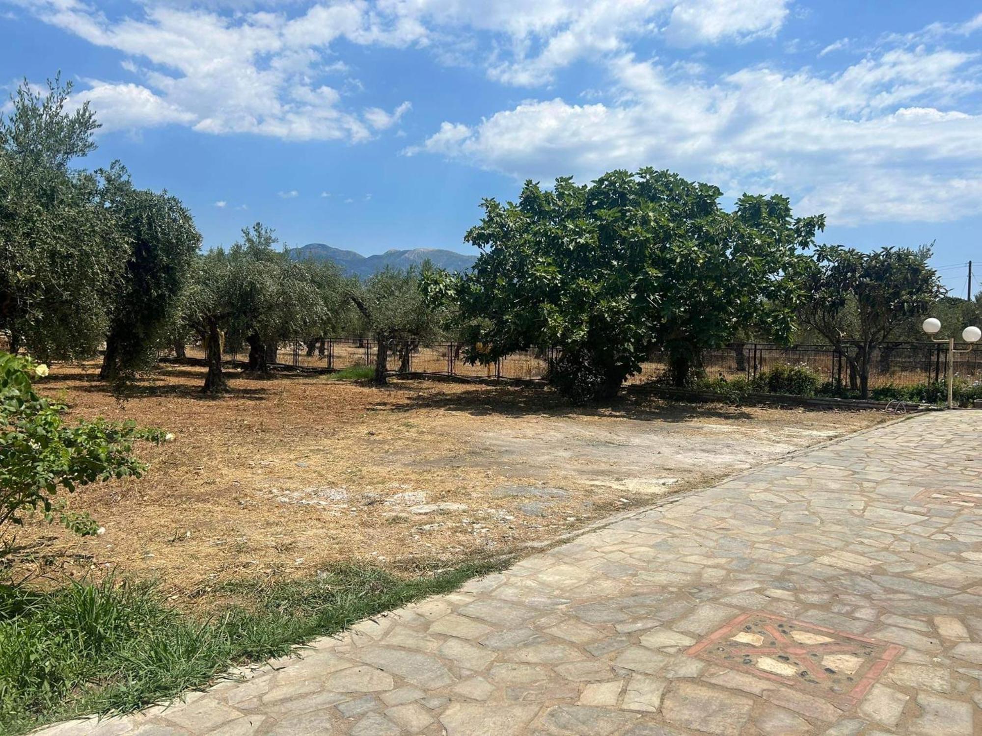 Το Πετρινο / The Petrino Apartments Stoúpa Eksteriør bilde